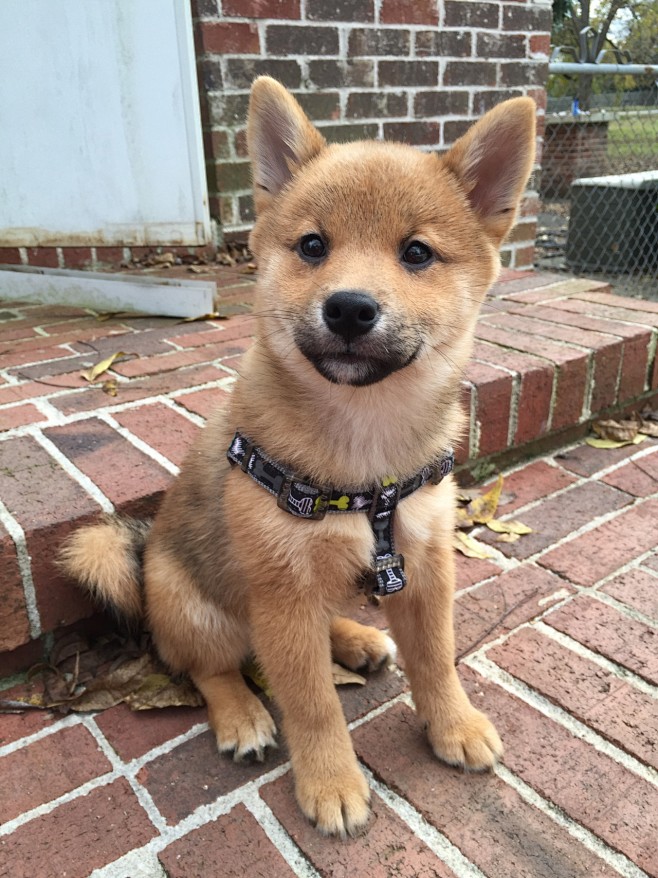 天猫发送失败什么原因？揭秘背后的原因及解决方法